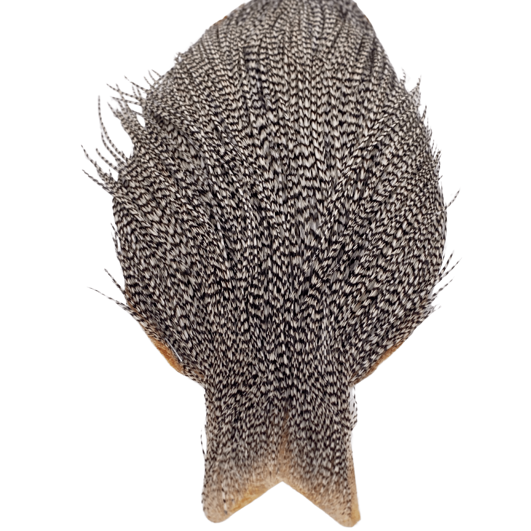 Whiting Rooster Cape - Silver Grade - The Blue Quill Angler