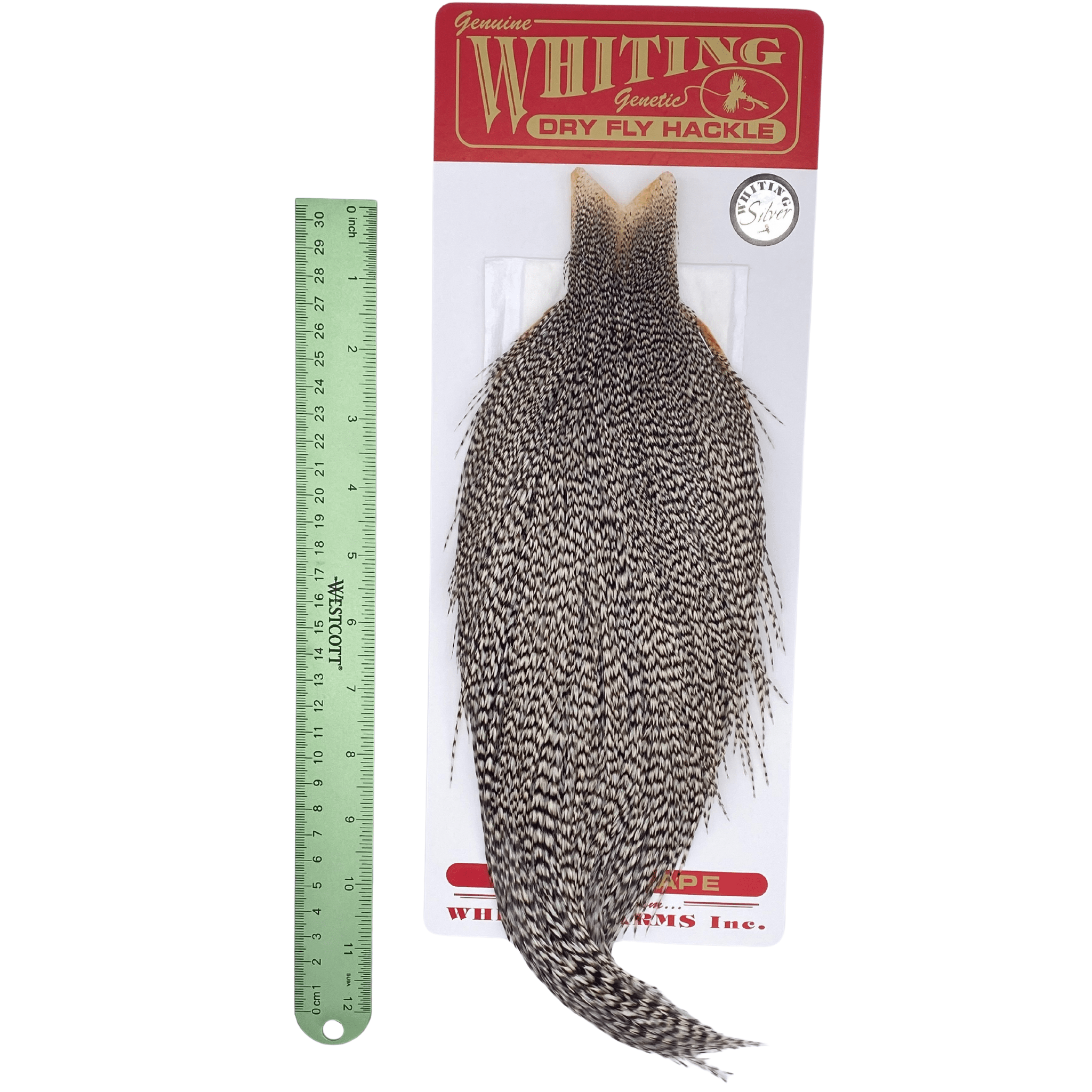 Whiting Rooster Cape - Silver Grade - The Blue Quill Angler