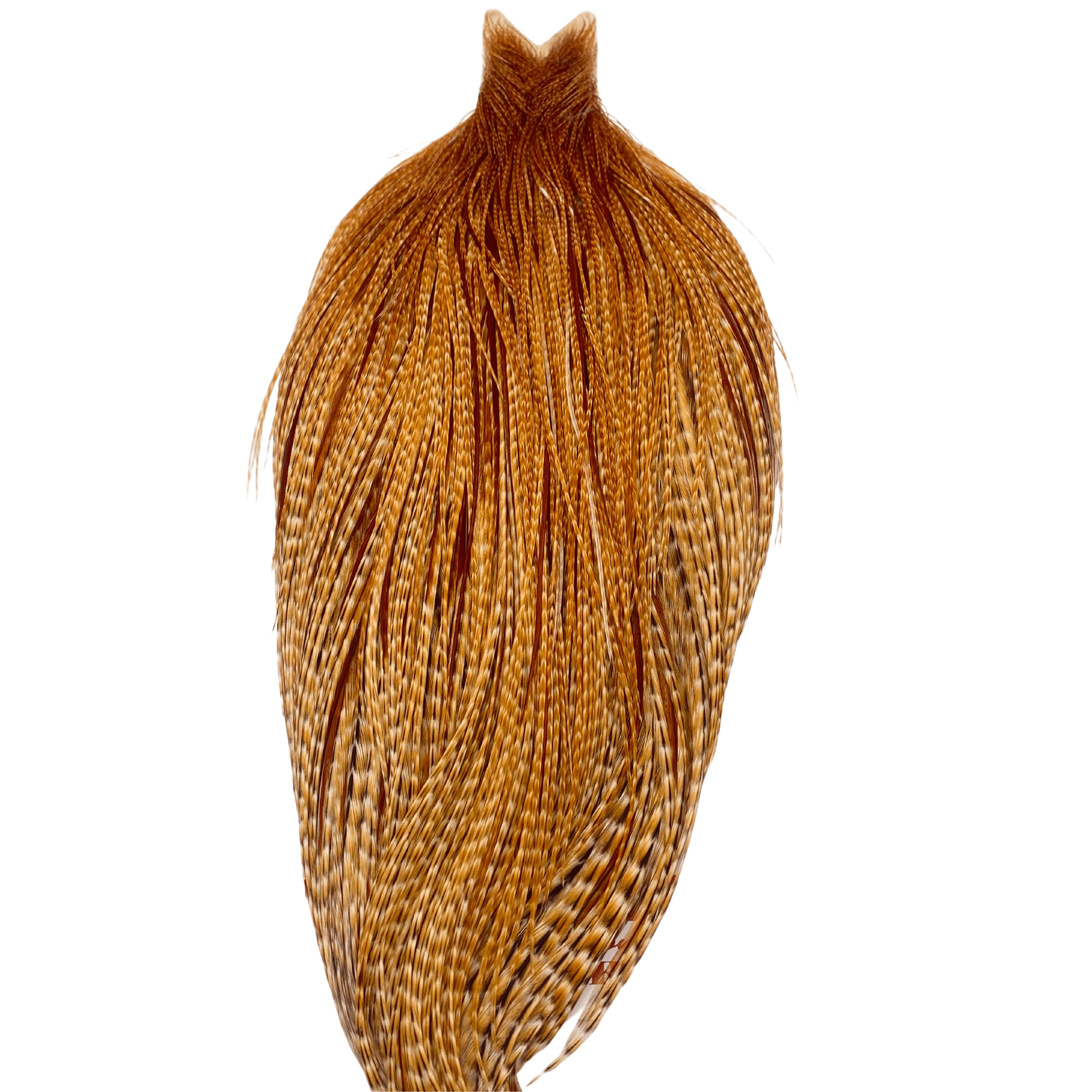 Whiting Rooster Cape - Silver Grade - The Blue Quill Angler