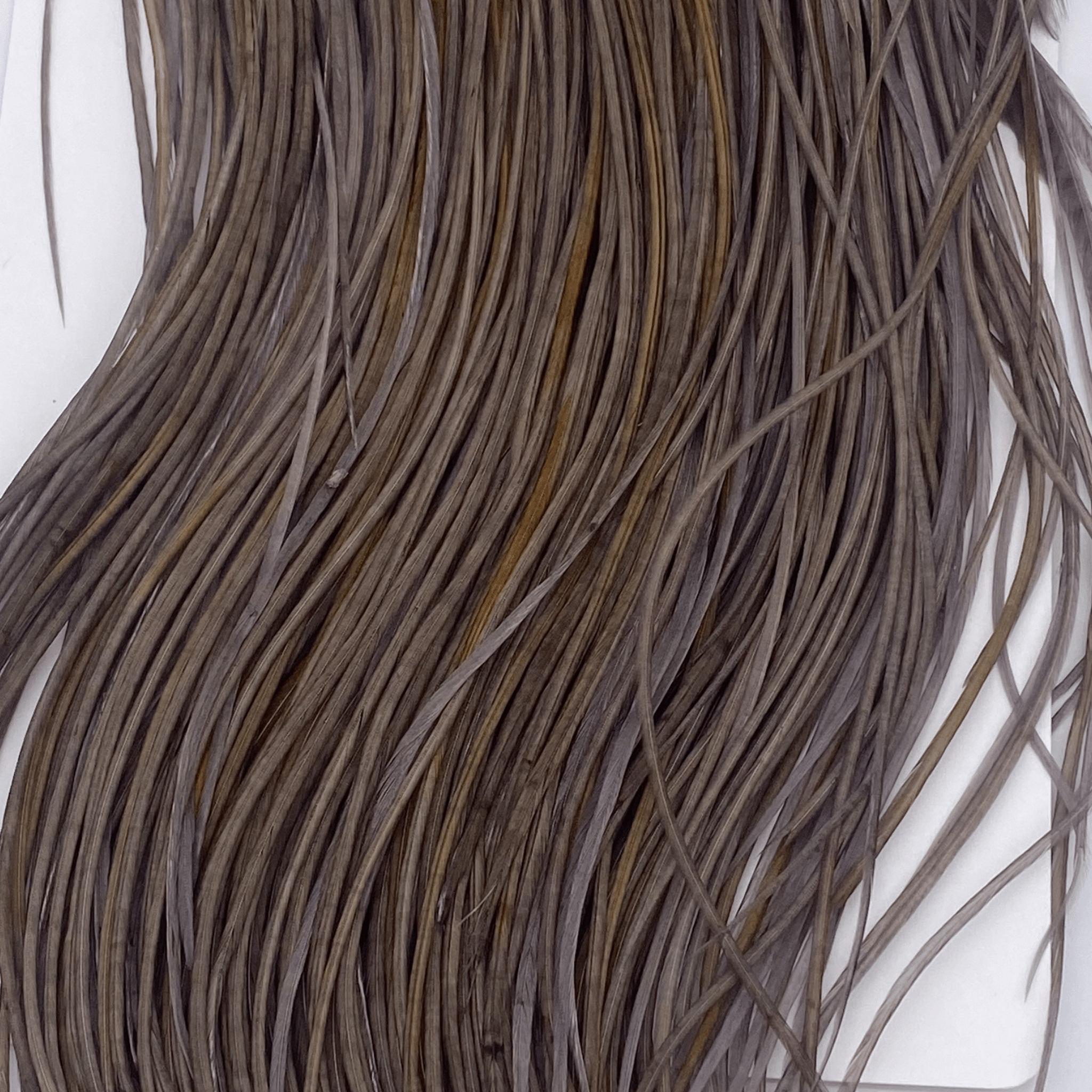 Whiting Rooster Midge Saddle - Silver Grade - The Blue Quill Angler