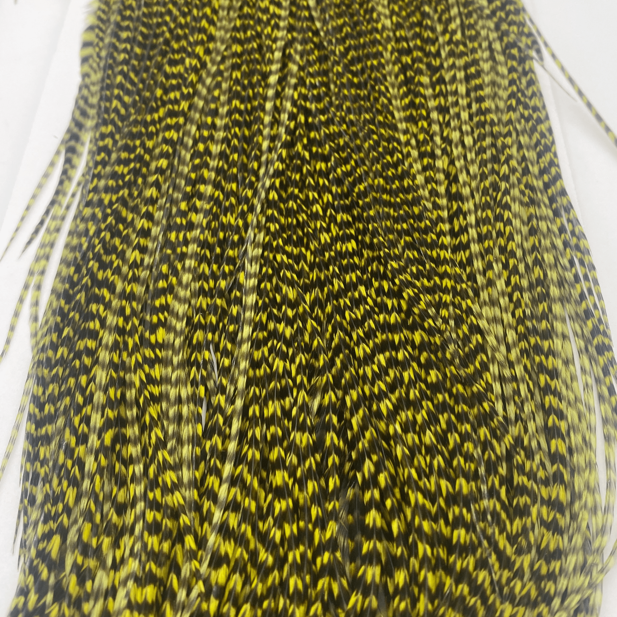 Whiting Rooster Midge Saddle - Silver Grade - The Blue Quill Angler