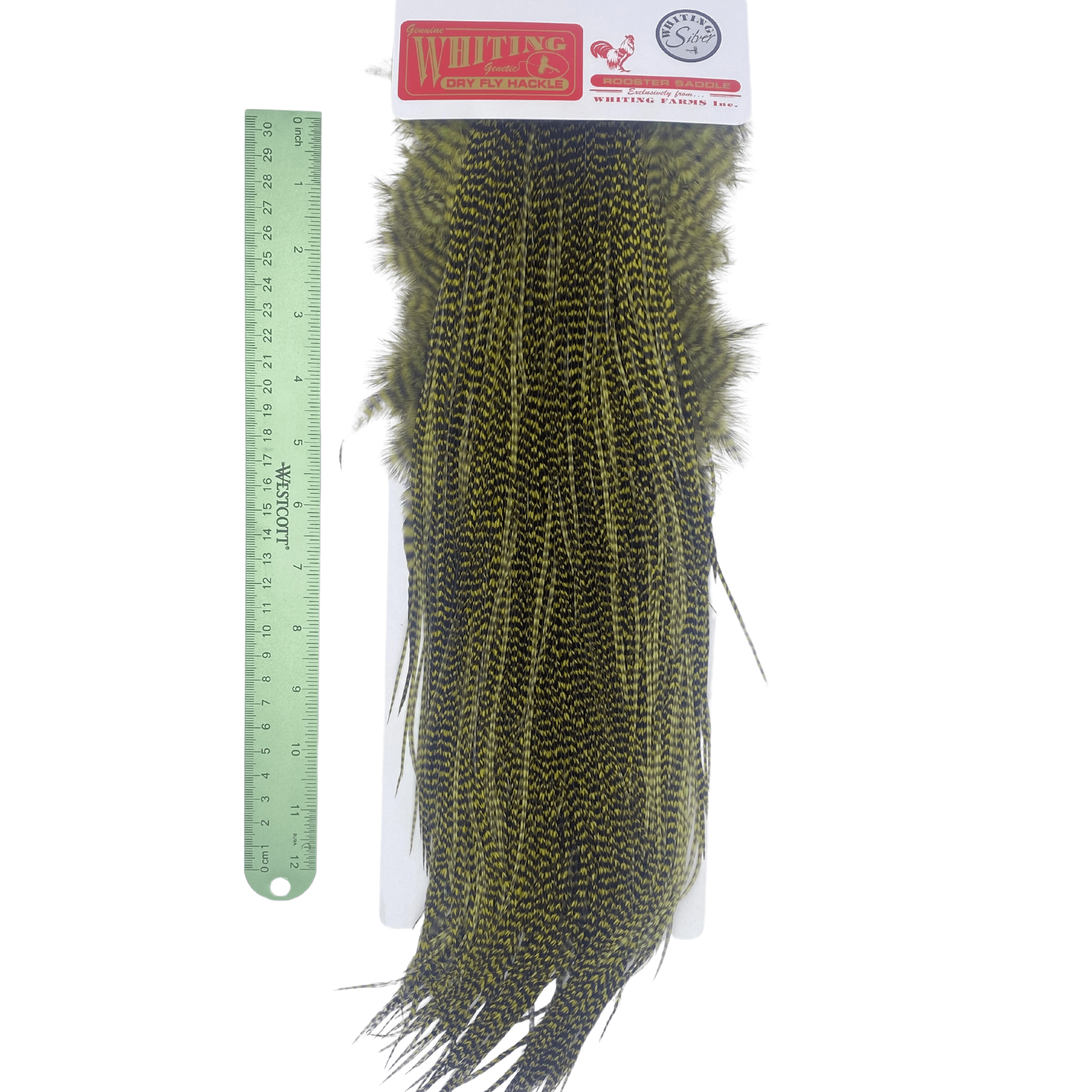 Whiting Rooster Midge Saddle - Silver Grade - The Blue Quill Angler