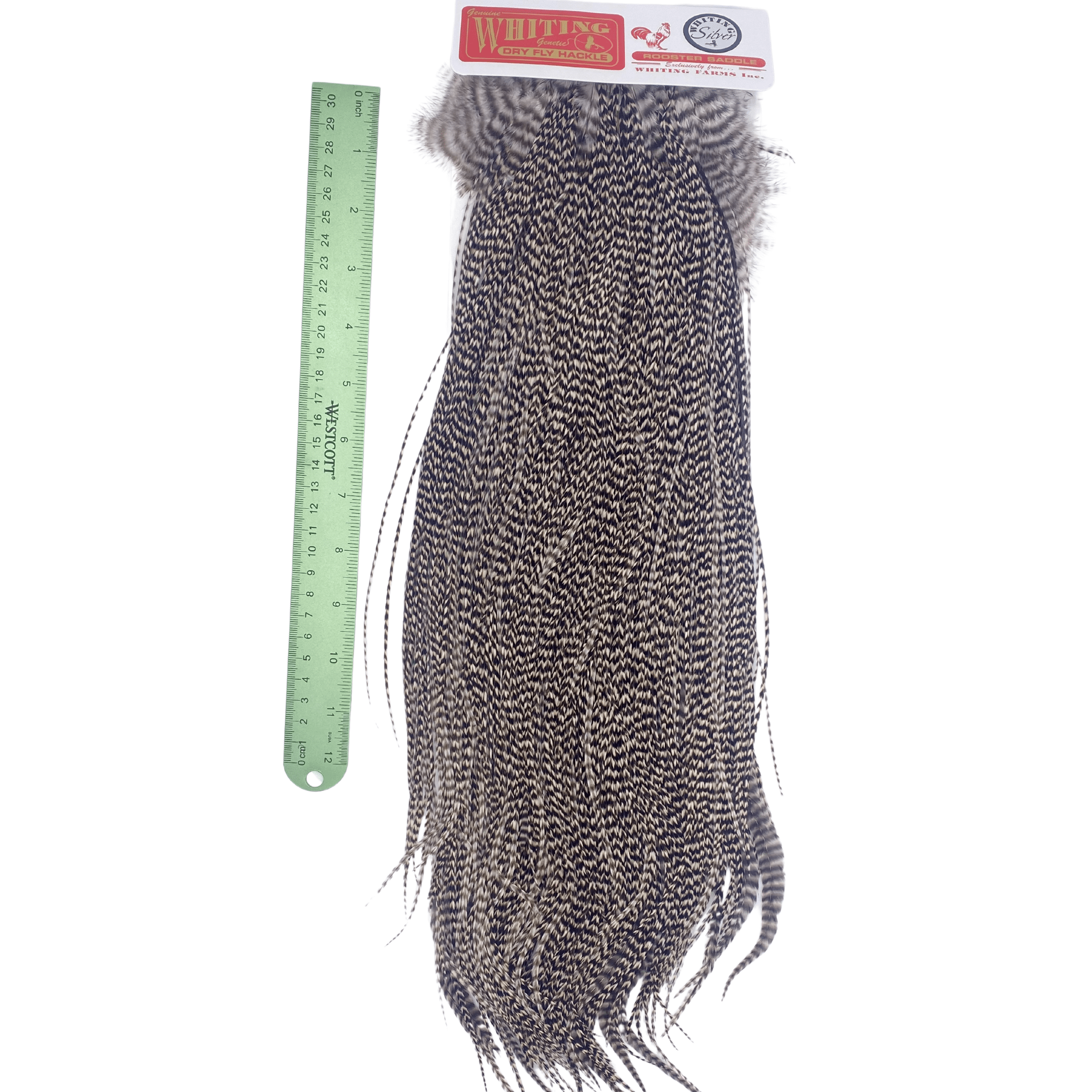 Whiting Rooster Saddle - Silver Grade - The Blue Quill Angler