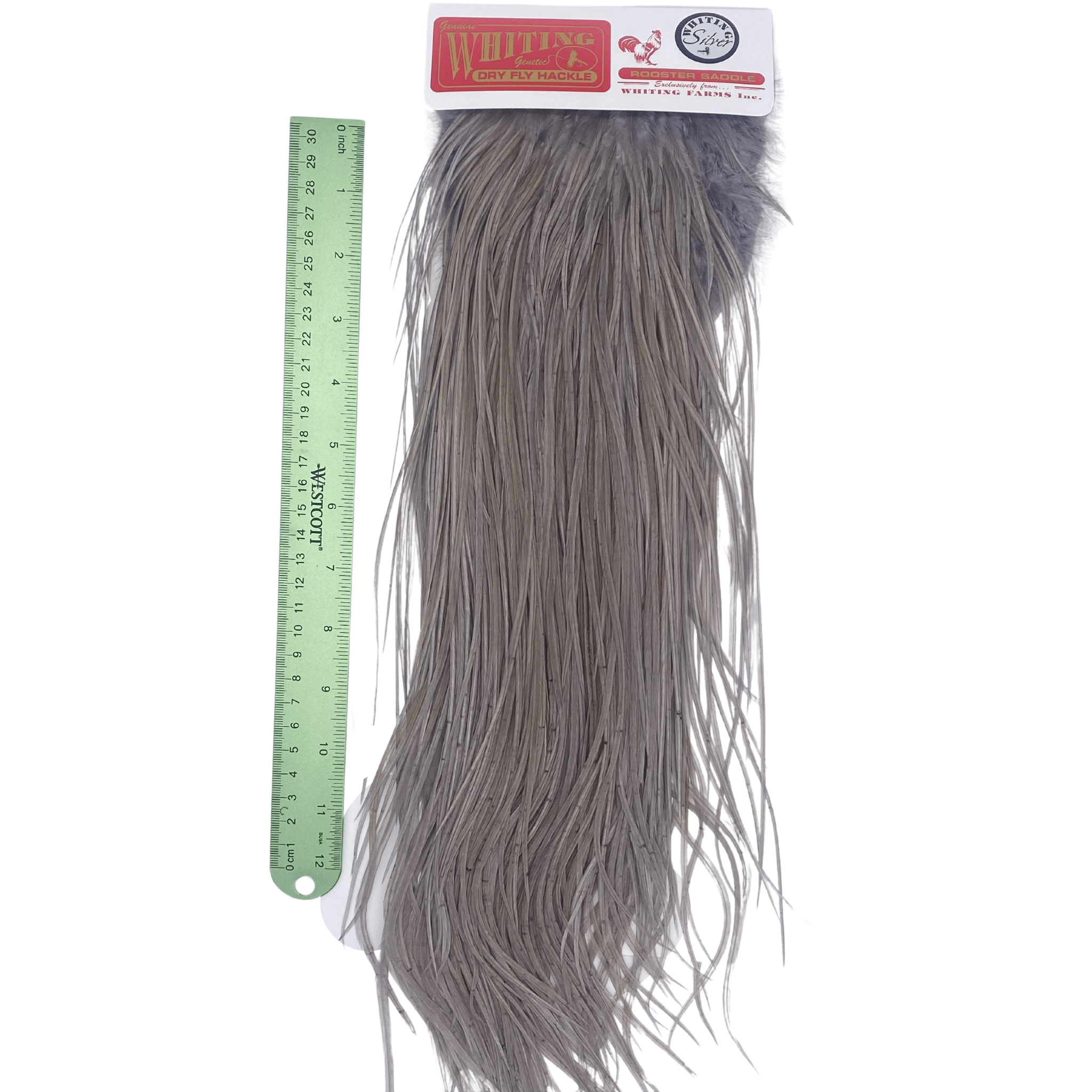 Whiting Rooster Saddle - Silver Grade - The Blue Quill Angler