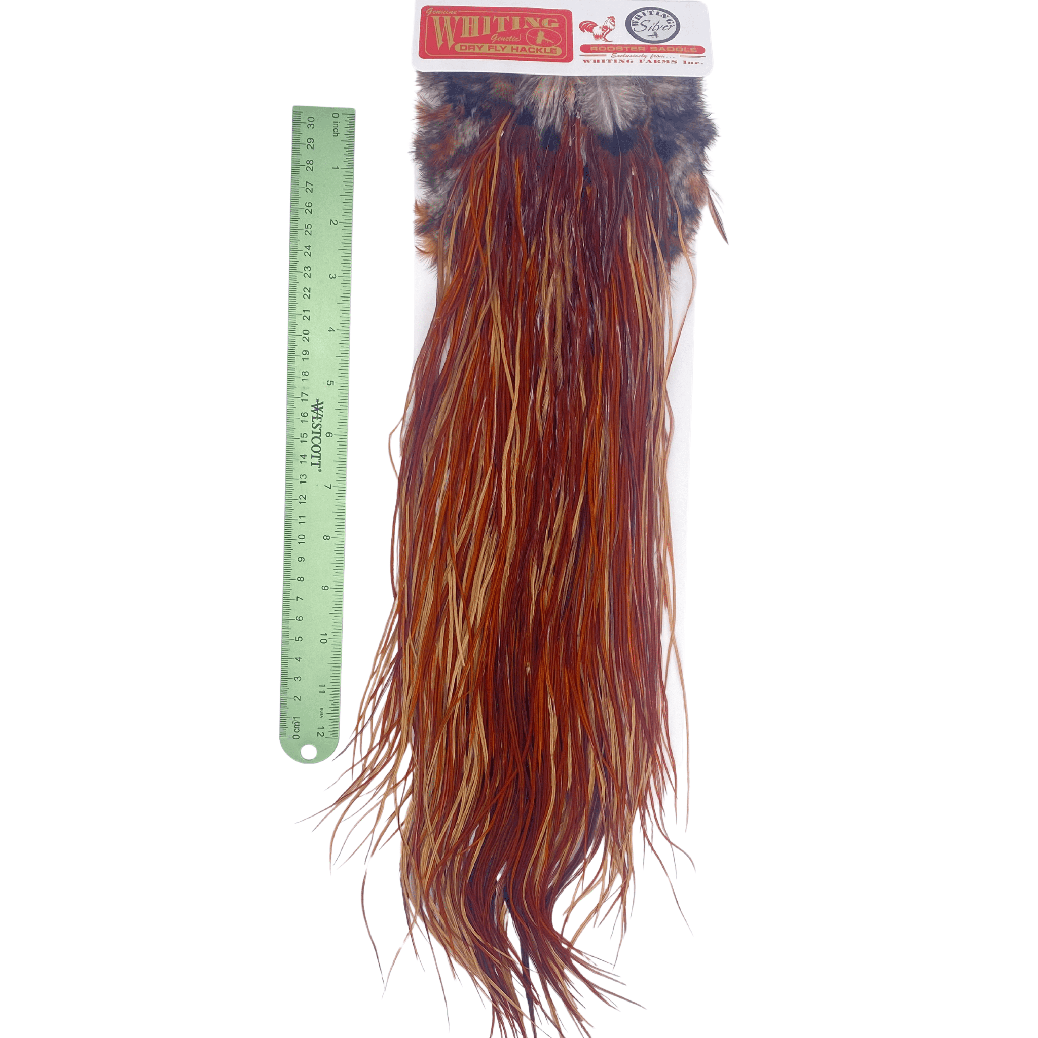 Whiting Rooster Saddle - Silver Grade - The Blue Quill Angler