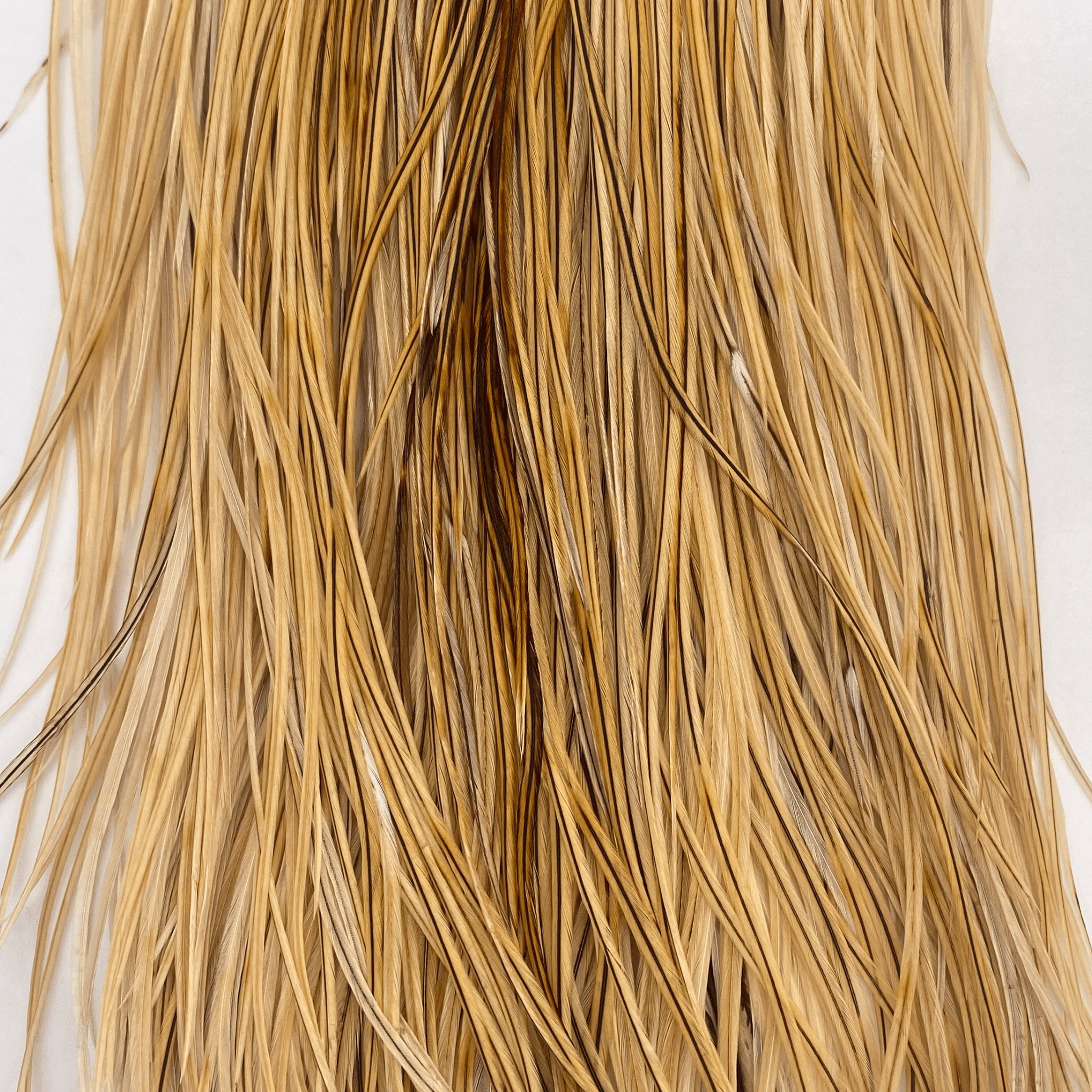 Whiting Rooster Saddle - Silver Grade - The Blue Quill Angler