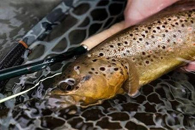 Winston Air 2 - The Blue Quill Angler