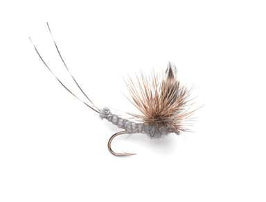 Adams Superfly - The Blue Quill Angler