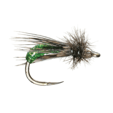 Barrs Graphic Caddis - The Blue Quill Angler