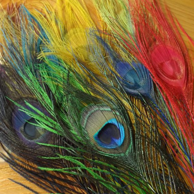 Dyed Peacock Eyes