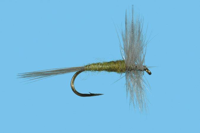 Blue Wing Olive - The Blue Quill Angler