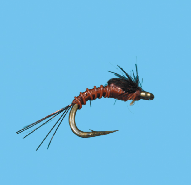 Bts Nymph - The Blue Quill Angler