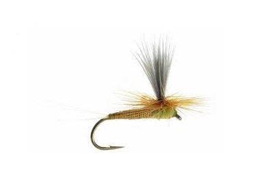 Burk's Silhouette Dun - The Blue Quill Angler