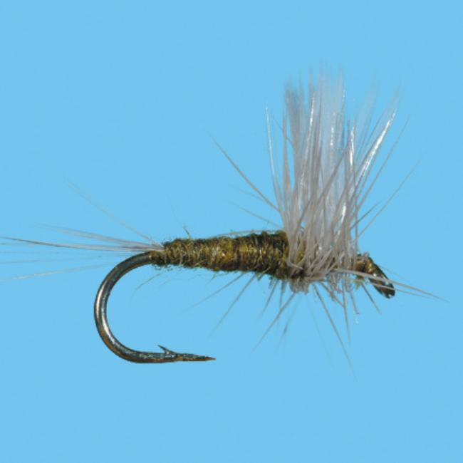 Blue Wing Olive Thorax - The Blue Quill Angler