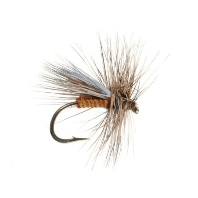 Caddis Ginger Variant - The Blue Quill Angler