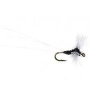 CDC Biot Spinner - Trico - The Blue Quill Angler