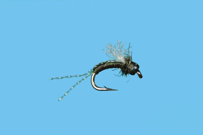 Cheesman Emerger - Bead Head - The Blue Quill Angler