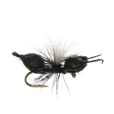Cupboard Ant - The Blue Quill Angler