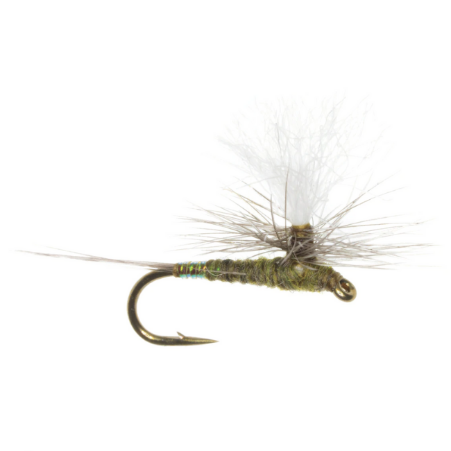 Mini Hot Mayfly - ( Umpqua) - Blue Quill Angler