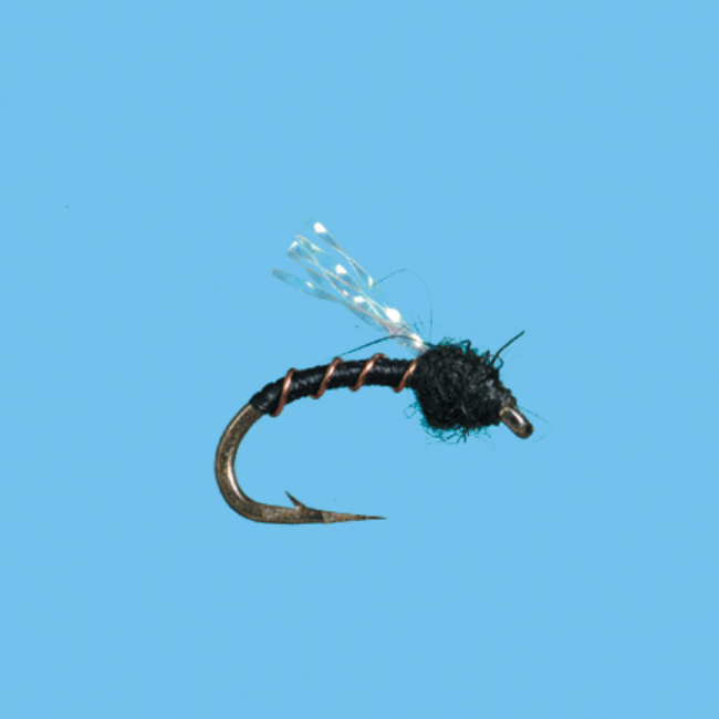 Kf Flasher - ( SOLITUDE FLY) - Blue Quill Angler