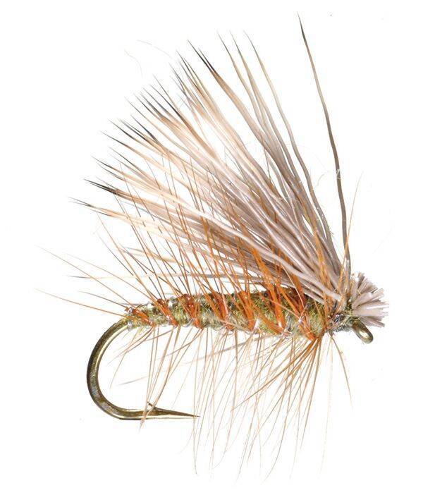Elk Hair Caddis - The Blue Quill Angler