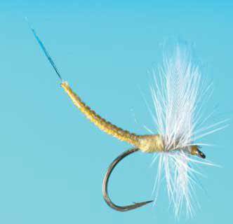 Extended Body Pmd - The Blue Quill Angler