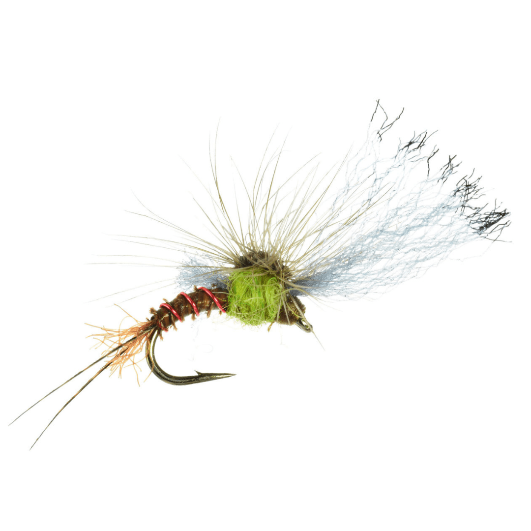 Film Critic - The Blue Quill Angler