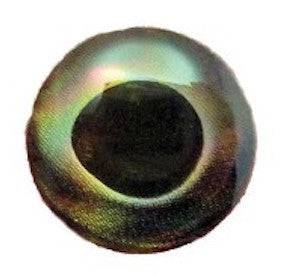 Fish Skull Living Eyes - The Blue Quill Angler