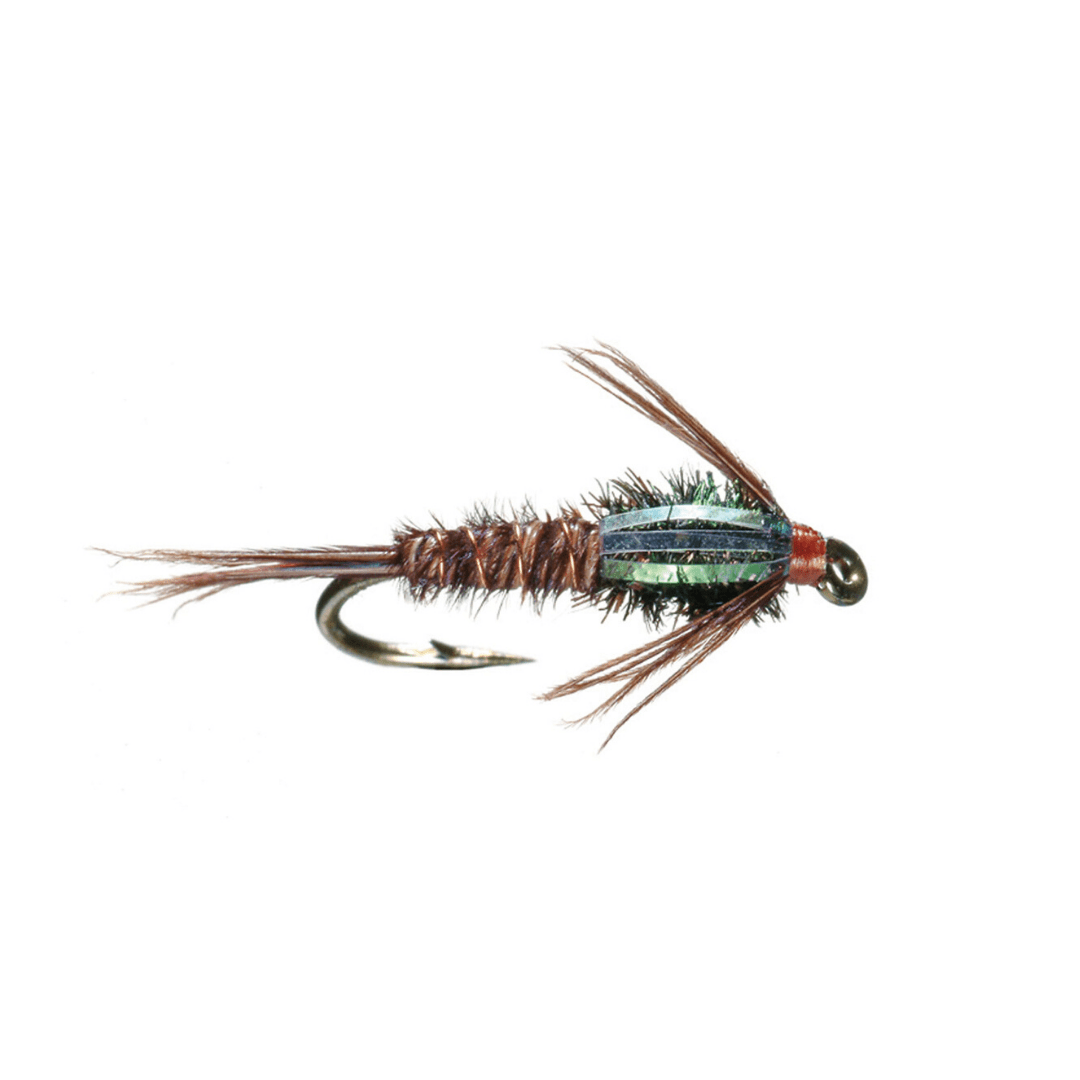 Flashback Pheasant Tail - The Blue Quill Angler