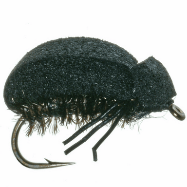Foam Beetle - The Blue Quill Angler