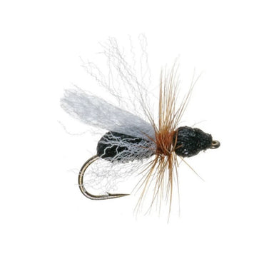 Foam Flying Ant - The Blue Quill Angler