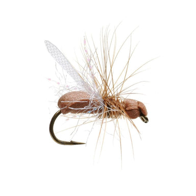 Foam Flying Ant - The Blue Quill Angler