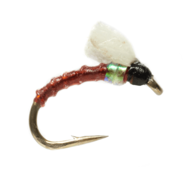 Foamie Homie - The Blue Quill Angler