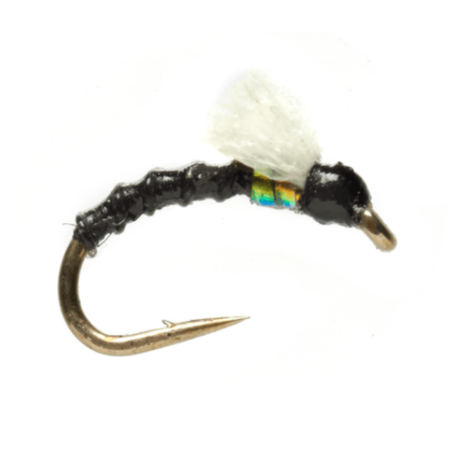 Foamie Homie - The Blue Quill Angler