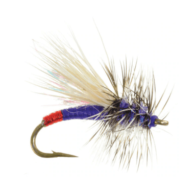 Garcia's Mini Hot - The Blue Quill Angler
