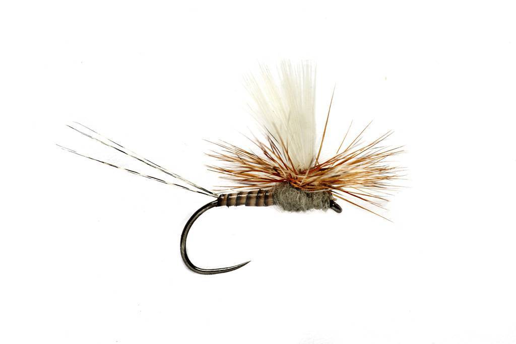 Get Er' Dun May - Barbless - The Blue Quill Angler
