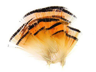 Golden Pheasant Tippets - Medium - The Blue Quill Angler