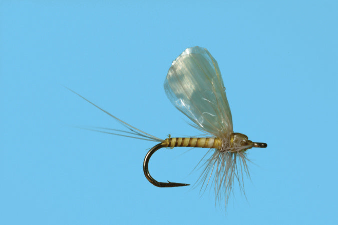 Hackle Dun Pmd - ( SOLITUDE FLY)