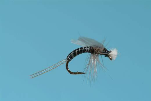 Hatching Midge Emerger - The Blue Quill Angler