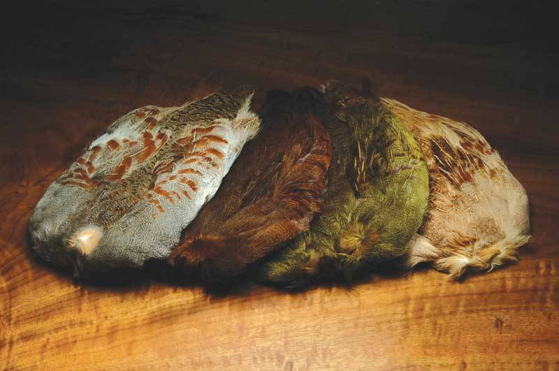 Hungarian Partridge Whole Skins