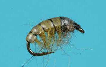 Hydropsyche Czech Nymph - The Blue Quill Angler