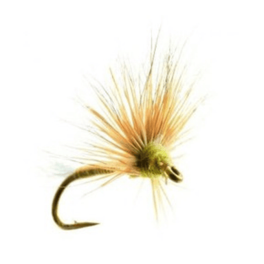 Improved Sparkle Dun Bwo - The Blue Quill Angler