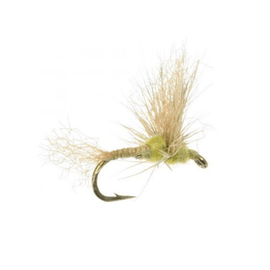Improved Sparkle Dun Pmd - The Blue Quill Angler