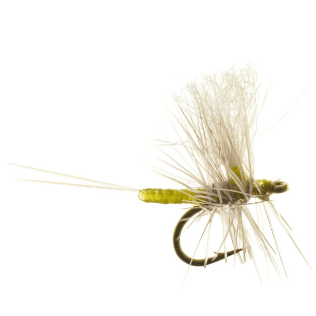 Iwan - E - Dun Parachute Pmd - The Blue Quill Angler