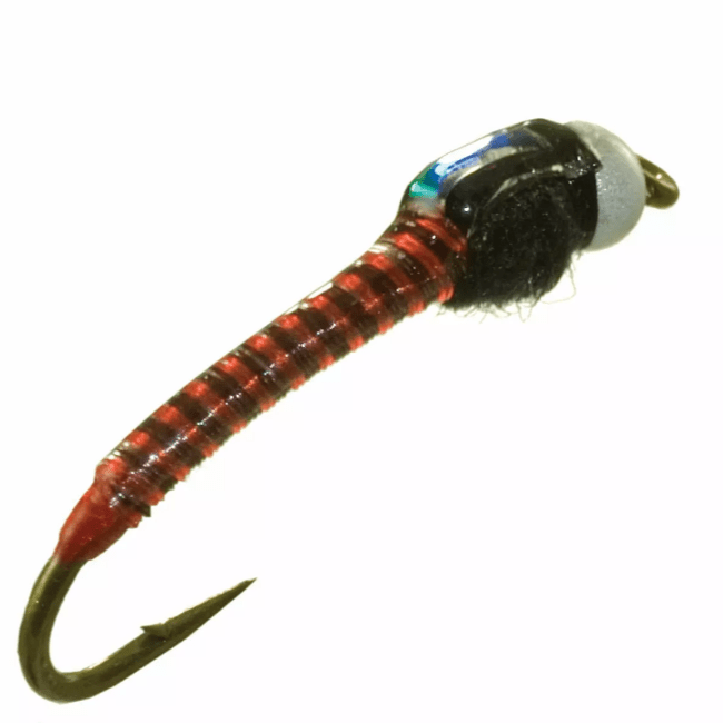 Jumbo Juju Chironomid - The Blue Quill Angler