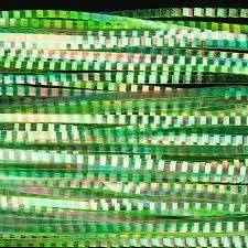 Lateral Scale - The Blue Quill Angler