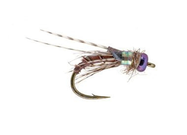 Little Brown Bug - ( UMPQUA) - Blue Quill Angler