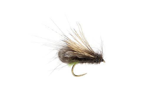 Mcphail Bubble Caddis - Barbless - The Blue Quill Angler