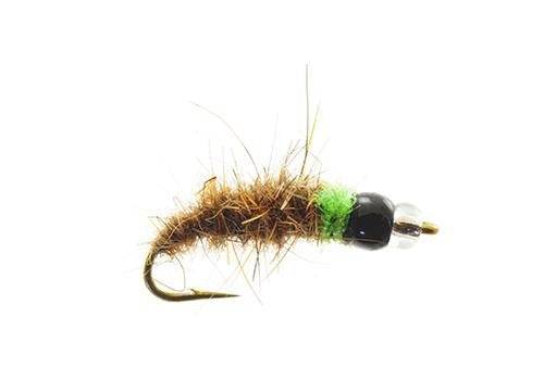 Mercury Cased Caddis Tungsten - Dorsey - The Blue Quill Angler