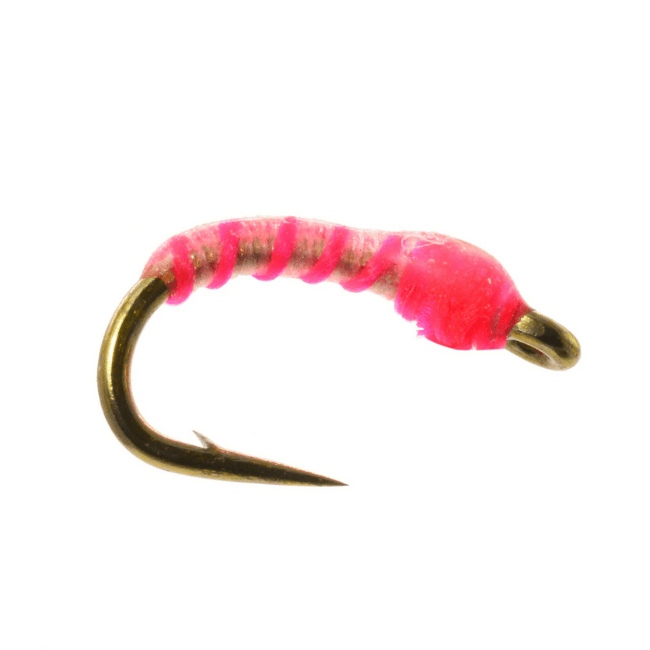 Neon Nightmare - The Blue Quill Angler